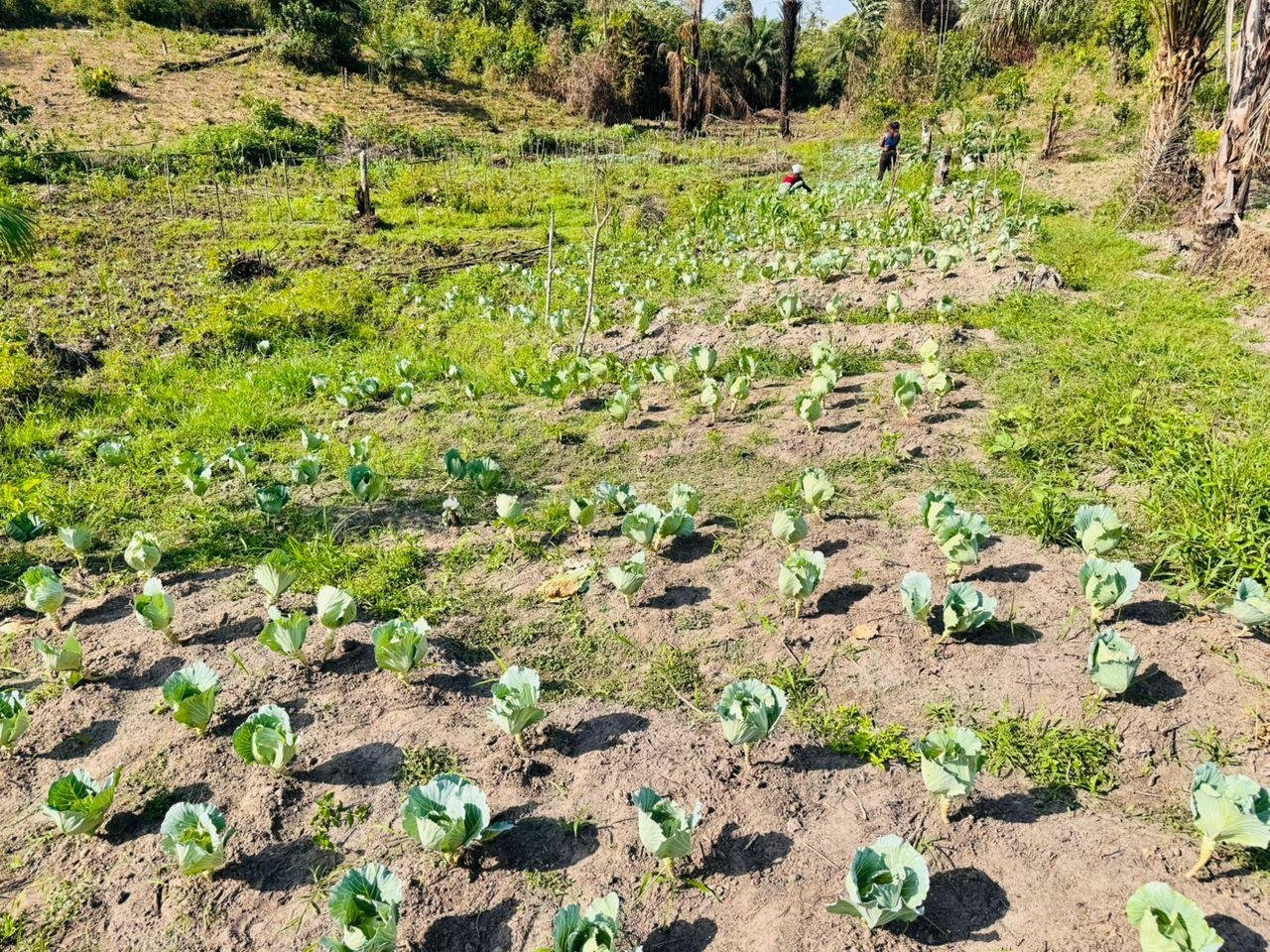 photo_2026-03-19_02-16-54