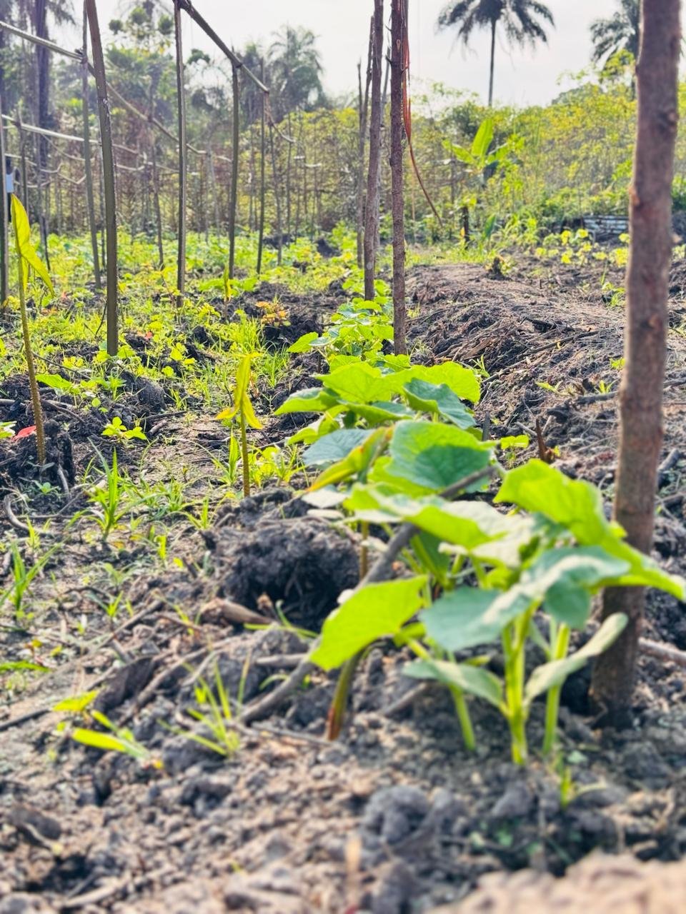 photo_2026-04-02_00-19-08