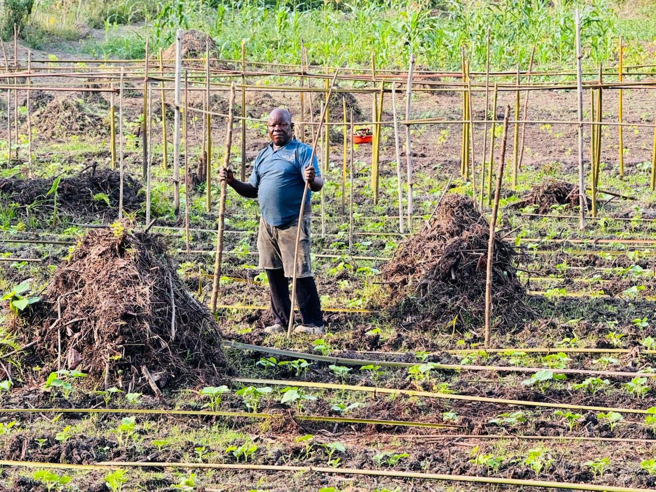 photo_2026-04-02_00-19-13